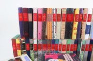 55 Bücher ''Romane und Erzählungen''