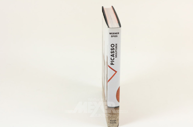 Bildband ''Picasso Skulpturen''