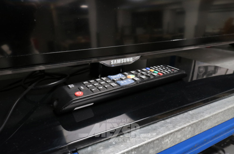 TV-Gerät ''SAMSUNG'' Typ: UE 48ES 5700