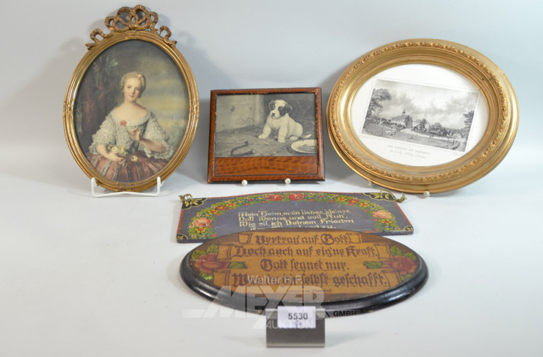 5 versch. Bilder und Fotos: