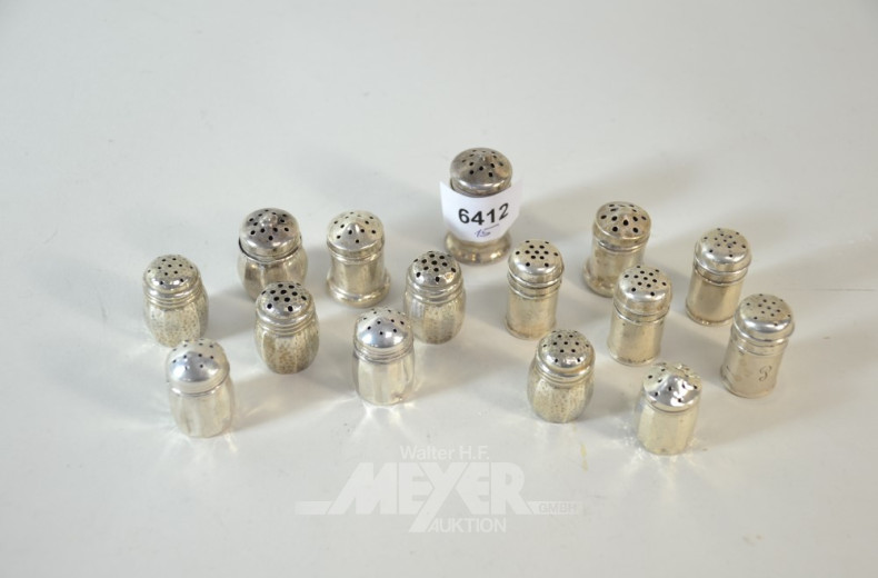 15 versch. kl. Gewürzstreuer, Silber,