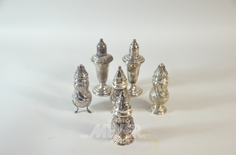 6 versch. Gewürzstreuer, Silber,