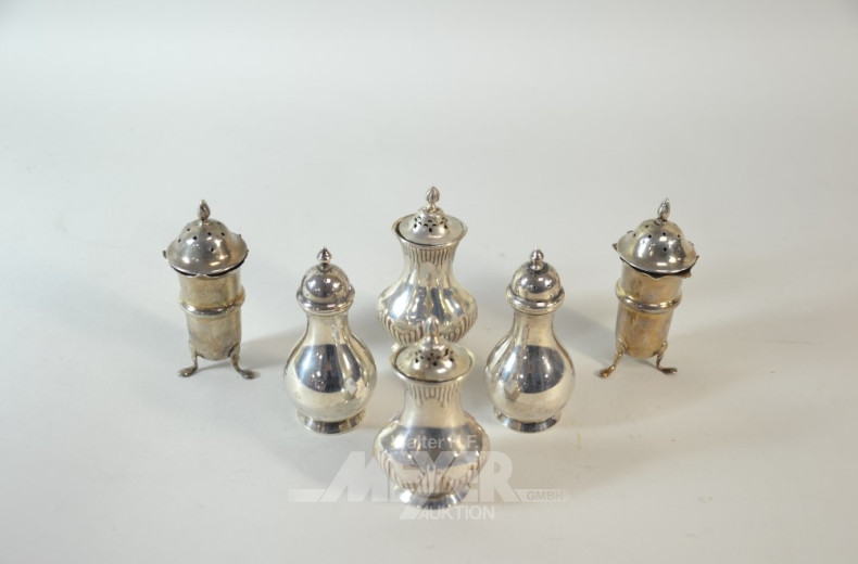 6 versch. Gewürzstreuer, Silber