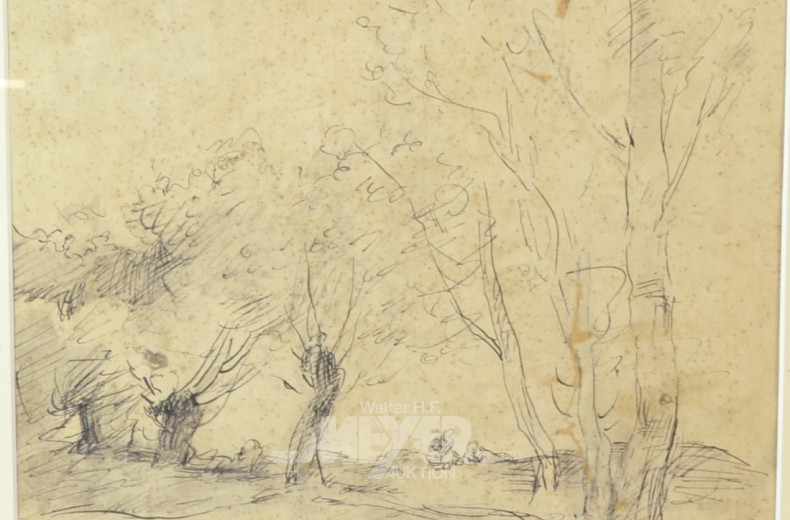 Bleistiftzeichnung ''Weiden''