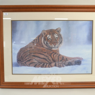Druck ''Sibirischer Tiger im Schnee''