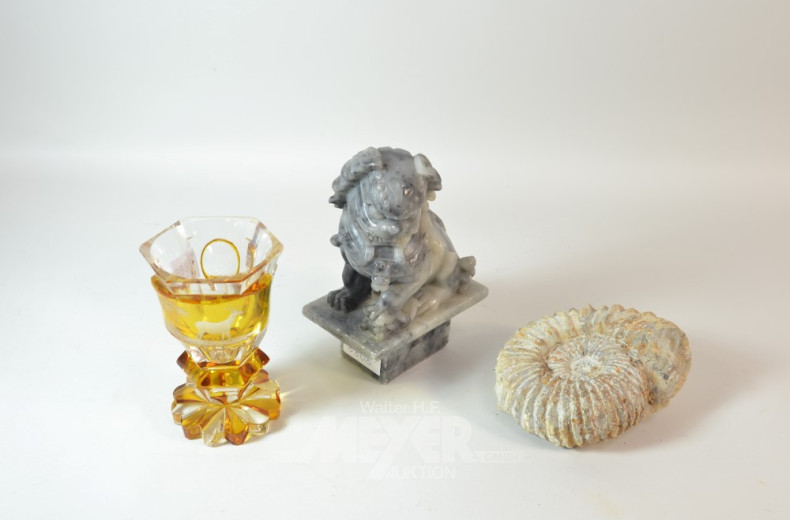 3 Teile: Fossil, Glas, Tempelhund