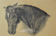 Bleistift Zeichnung ''Pferdekopf''