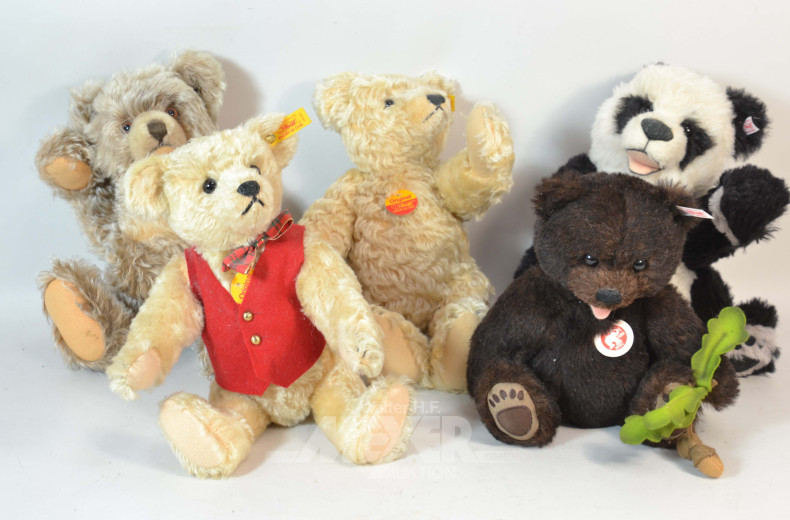 5 versch. gr. Teddys