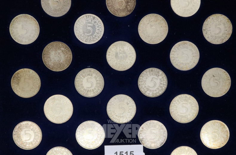53 Münzen á 5,-- DM