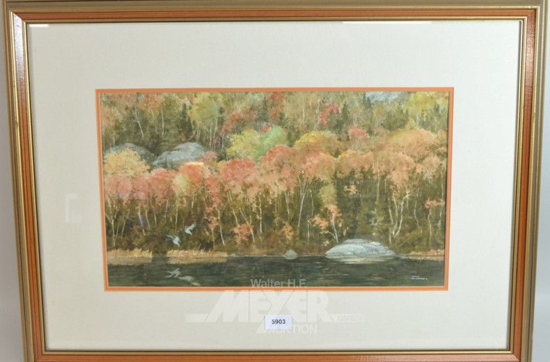 Aquarell, ''Enten im Flug''