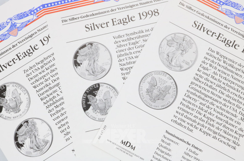 Repräsentationskassette mit 14 Silber