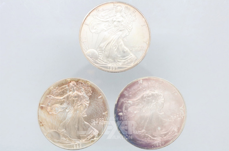 Repräsentationskassette mit 14 Silber