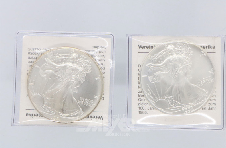 Repräsentationskassette mit 14 Silber