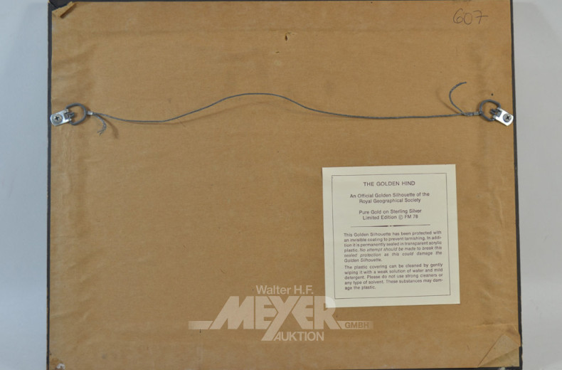 Bild  ''Golden Hind''