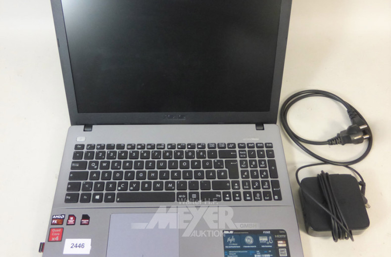 Laptop, ASUS F 5502,