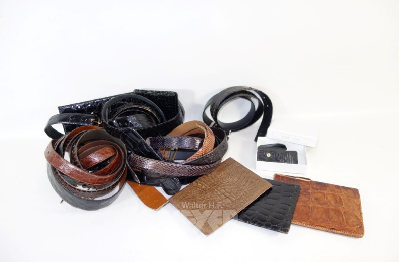 Posten Gürtel und Brieftaschen