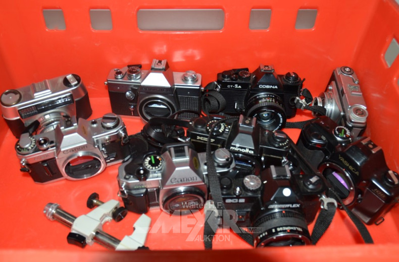 Posten versch. Kameras, ca. 15 Stück