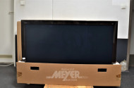 TV Gerät Panasonic inkl. FB