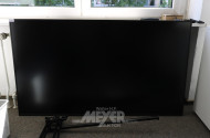 Monitor SAMSUNG QM65R