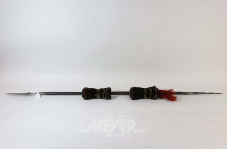 afrikanischer Dekospeer,