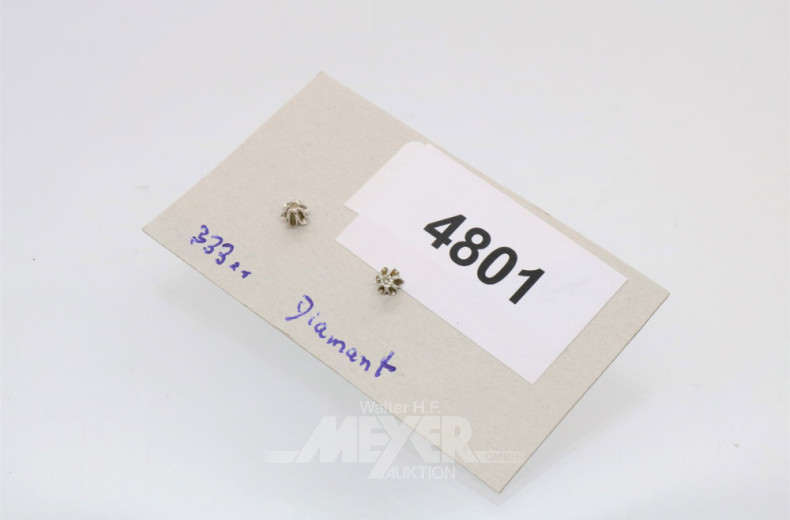 Paar Ohrstecker, 333er WG