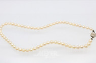 Zuchtperlenkette mit 333er GG-Schließe