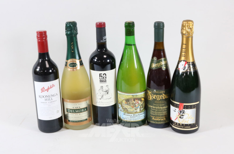 Posten Wein und Sekt, ca. 19 Flaschen