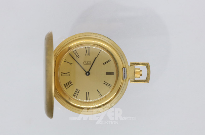 Taschenuhr mit Kette