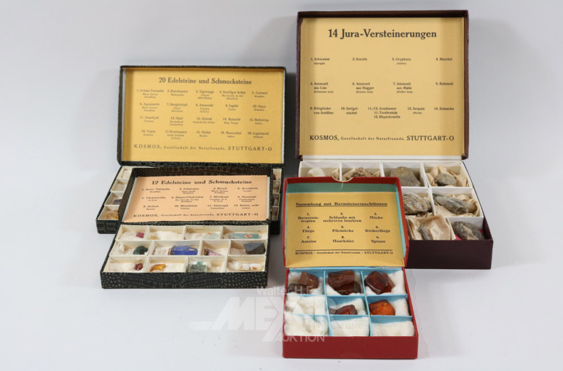 kl. Mineralien-Sammlung und Bernstein