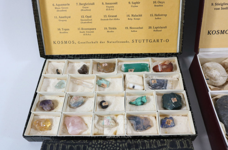 kl. Mineralien-Sammlung und Bernstein