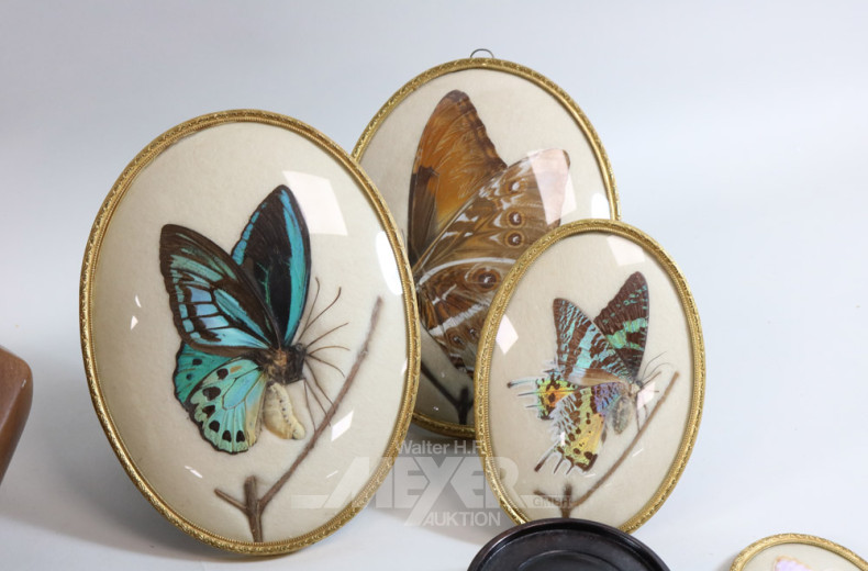 Posten versch. dekoration: