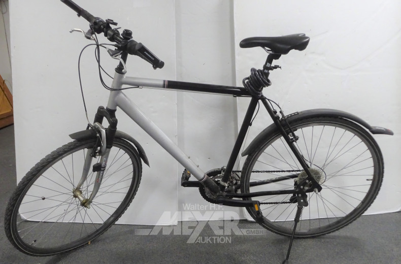 Trekkingfahrrad ALEX, silber/schwarz,