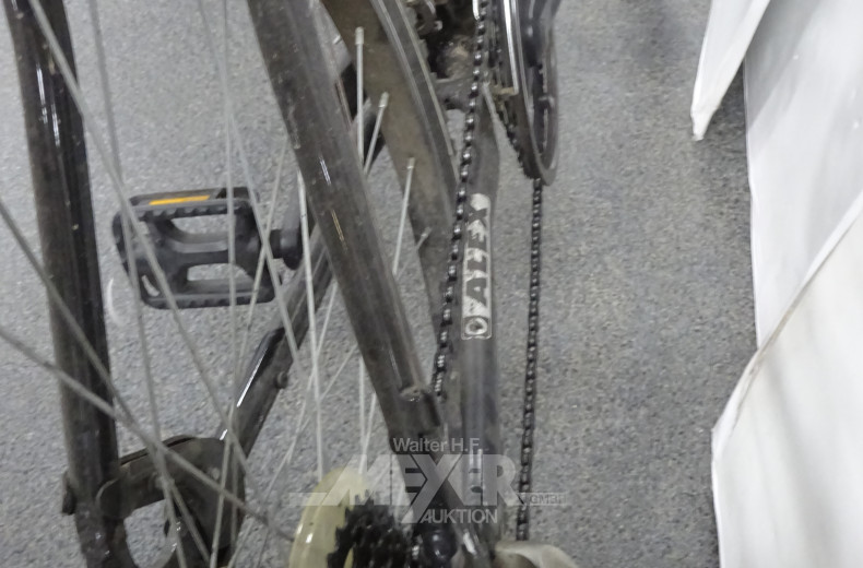 Trekkingfahrrad ALEX, silber/schwarz,