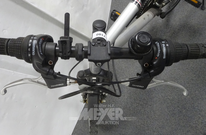 Trekkingfahrrad ALEX, silber/schwarz,