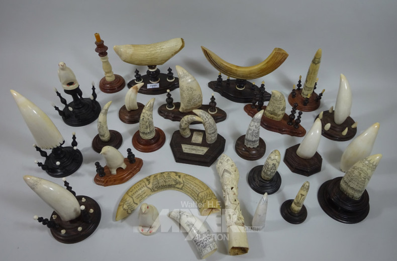 umfangr. Tierzahnkonvolut, ca. 35 Stk.