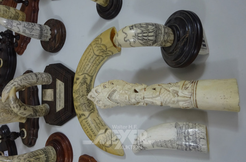 umfangr. Tierzahnkonvolut, ca. 35 Stk.