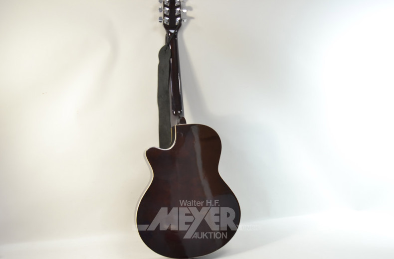 Akustik-Gitarre ''Acne''