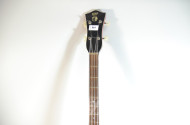 E- Bass ''Doris''