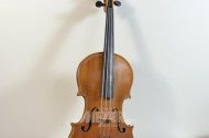 Schüler-Geige