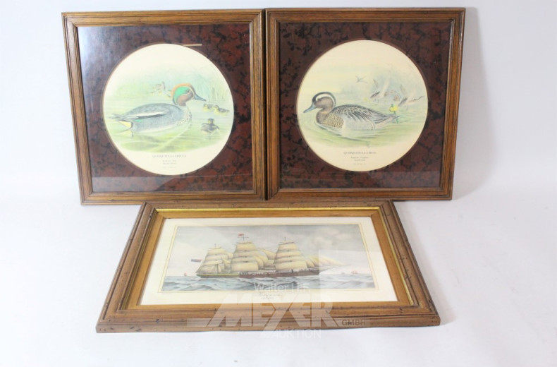 14 Modell-Motorräder