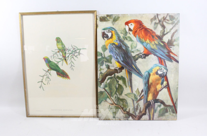 3 versch. Bilder und Drucke