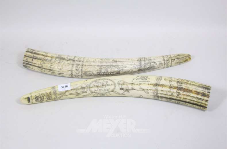 2 Dekorationen in Zahnform, Länge: jw. ca.