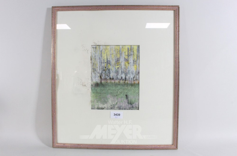 Mischtechnik ''Landschaft''