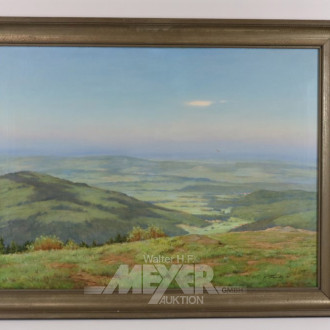 Gemälde ''Hügelige Landschaft'',