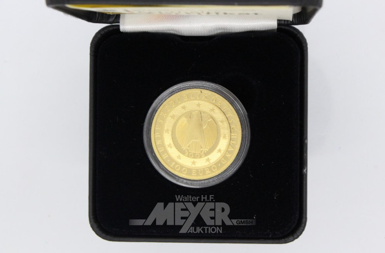 Euro-Goldmünze, 100 Euro in 999er Gold