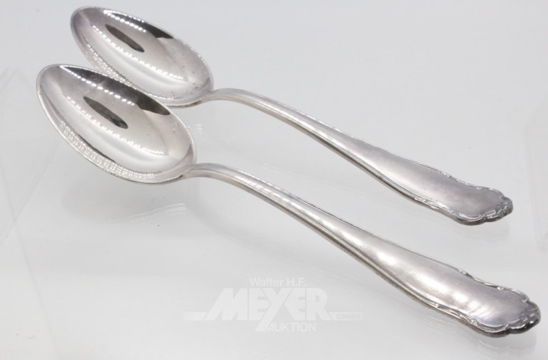 Besteckkasten MFN, 90er Auflage: