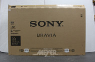 Smart-TV SONY, Typ: FW-55BZ35F, mit FB,