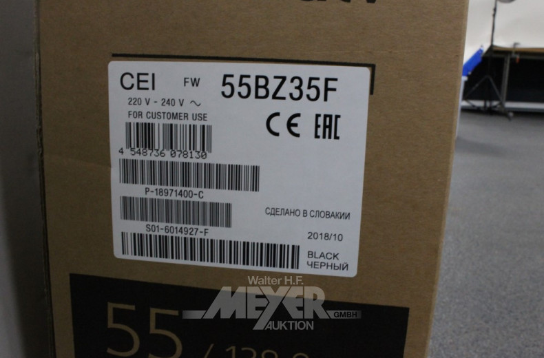 Smart-TV SONY, Typ: FW-55BZ35F, mit FB,