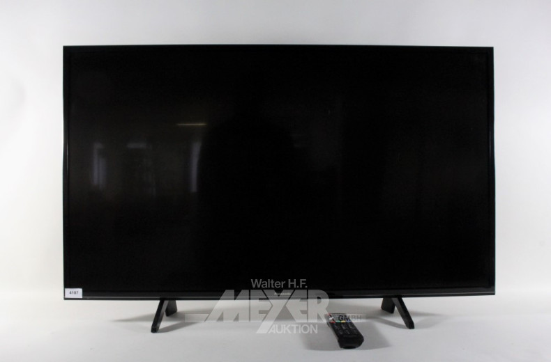 Smart-TV PANASONIC, TX-43FXW654, mit FB,