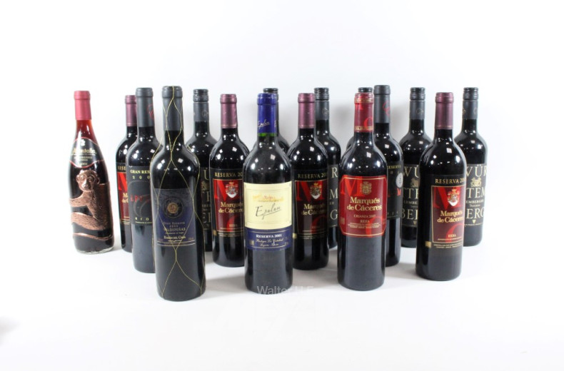 Posten Alkoholika: Wein, ca. 28 Flaschen